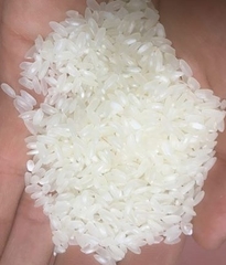 Gạo Hàm Châu Siu 50kg