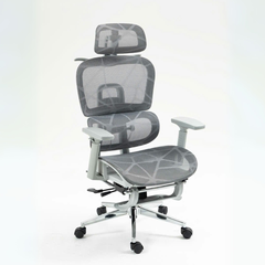 Ghế Công Thái Học 2KEG05G