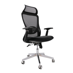 Ghế Công Thái Học A877