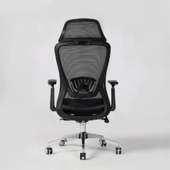 Ghế Công Thái Học A877