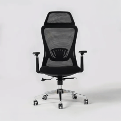 Ghế Công Thái Học A877
