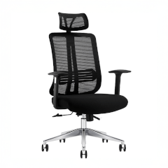 Ghế Công Thái Học A721