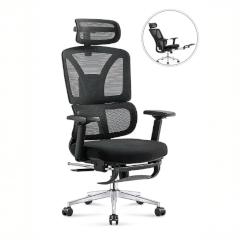 Ghế Công Thái Học 2KEG08D