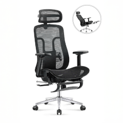 Ghế Công Thái Học 2KEG06D