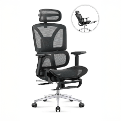 Ghế Công Thái Học 2KEG07D