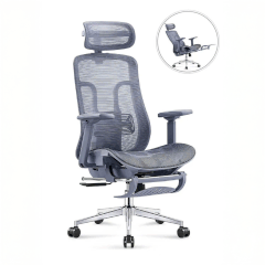 Ghế Công Thái Học 2KEG06G