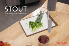 Thớt Stout Neoflam Hàn Quốc cỡ M