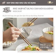 Bộ đũa gỗ thủ công Bear cao cấp CX-E0103