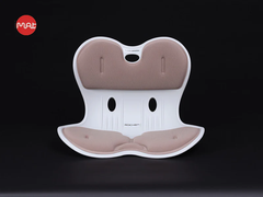 Ghế chỉnh dáng ngồi đúng cỡ lớn Roichen Giant