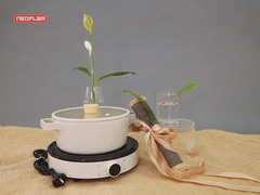 Bộ nồi nông 22cm & bếp từ đơn Fika Neoflam Hàn Quốc