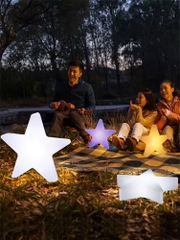 Đèn LED Trang trí Công viên hình Ông Sao phát sáng Zalaa cho các Dự án chiếu sáng mới