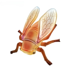 Đèn LED ZALAA Mô Hình Ve Sầu Simulation Golden Cicada Light cho Vườn Ánh Sáng / Light Garden