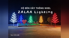 Cột Đèn Trang Trí Cây Thông Cao 7M LED F5 Chiếu Sáng Trung Tâm Thương Mại