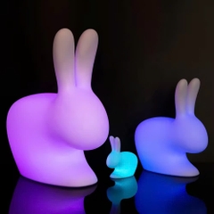 Vườn Ánh Sáng mùa thu với đèn led trang trí hình Con Thỏ và hình Trăng Sao phát sáng Zalaa cho các Dự án chiếu sáng mới