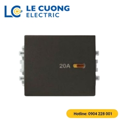 Công tắc 2 cực 20A, size M Scheneider ELECTRIC