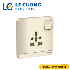 Bộ ổ cắm đơn đa năng 16A,có công tắc Schneider ELECTRIC