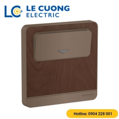 Bộ công tắc chìa khóa thẻ Schneider ELECTRIC