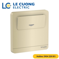 Bộ công tắc chìa khóa thẻ Schneider ELECTRIC