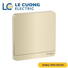 Bộ công tắc đơn 2 chiều 16AX, có đèn LED Schneider ELECTRIC