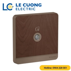 Bộ ổ cắm TV đơn Schneider ELECTRIC