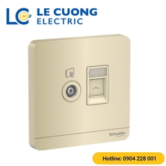 Bộ ổ cắm TV và Bộ ổ cắm mạng cat5e Schneider ELECTRIC