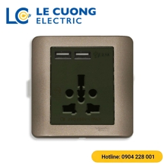 Bộ ổ cắm đa năng và sạc USB đô Schneider ELECTRIC