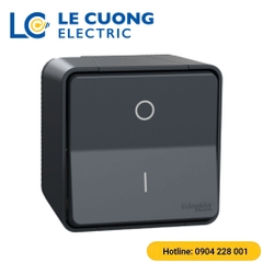 Bộ công tắc đơn hai cực 16AX Schneider ELECTRIC