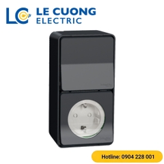 Ổ cắm đơn có công tắc 10AX Schneider ELECTRIC