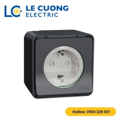 Ổ cắm đơn 16A 2P+E Schneider ELECTRIC