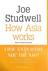 Châu Á Vận Hành Như Thế Nào? - Thành Công Và Thất Bại Của Khu Vực Năng Động Nhất Thế Giới