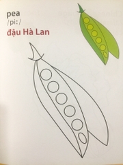 Giờ Học Tô Màu Của Bé - Rau Củ