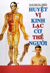 Huyệt Vị Kinh Lạc Cơ Thể Người