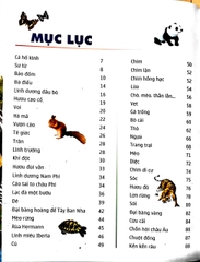 Thế Giới Động Vật