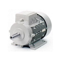 Elec Siemens Electric Motor - dong co dien siemens.flv