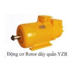 ĐỘNG CƠ ROTO DÂY QUẤN