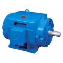 ĐỘNG CƠ PHÒNG NỔ WEG