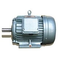 Motor điện 3 pha/Động cơ điện 3 pha- 1HP Chân Đế