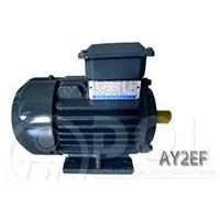 Motor điện 3 pha/Động cơ điện 3 pha- 10HP/2Poles-Chân Đế