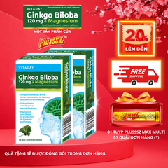 [COMBO 2 HỘP x 30 viên] Viên uống bổ não Vitaday Ginkgo Biloba 120mg + Magnesium - Nhập Khẩu chính hãng