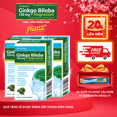 [COMBO 3 HỘP x 30 viên] Viên uống bổ não Vitaday Ginkgo Biloba 120mg + Magnesium - Nhập Khẩu chính hãng