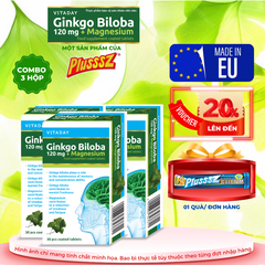 [COMBO 3 HỘP x 30 viên] Viên uống bổ não Vitaday Ginkgo Biloba 120mg + Magnesium - Nhập Khẩu chính hãng