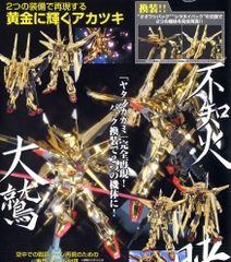 1/100 AKATSUKI GUNDAM OOWASHIPACK/SHIRANUIPACK