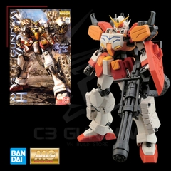 MG 1/100 HEAVY ARMS EW