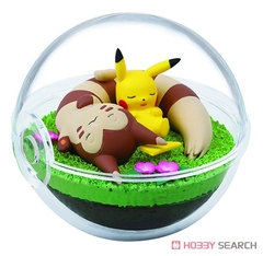 POKEMON RE-MENT TERRARIUM COLLECTION VOL 8 ( JAPAN VER )