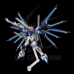 HGCE 243 1/144 STTS-909 Rising Freedom Gundam