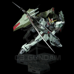 FULL MECHANICS 1/100 GAT-X252 FM FORBIDDEN GUNDAM