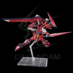 HGCE 244 1/144 STTS-808 Immortal Justice Gundam