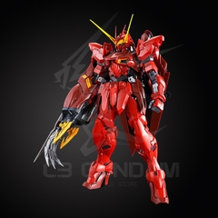 MG 1/100 RGX-00 TESTAMENT GUNDAM [P-BANDAI]