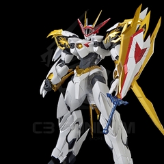 HG Amplified IMGN Ryuoumaru