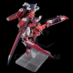 HGCE 244 1/144 STTS-808 Immortal Justice Gundam
